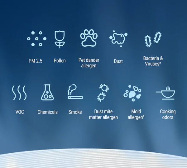 Replacement Filter Classic Pro CP71